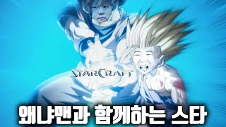 왜냐맨과 퓨전하여 스톤테란이 된 쌍베 [왜냐맨의 스타교실]
