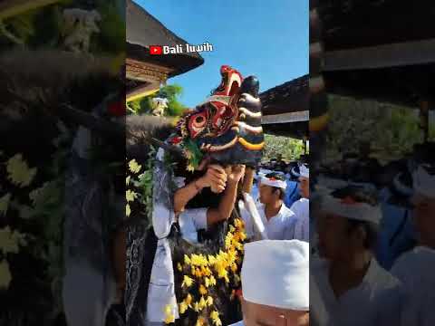 NGREBEG PETAPAKAN BARONG SESUUNAN KELILING DESA