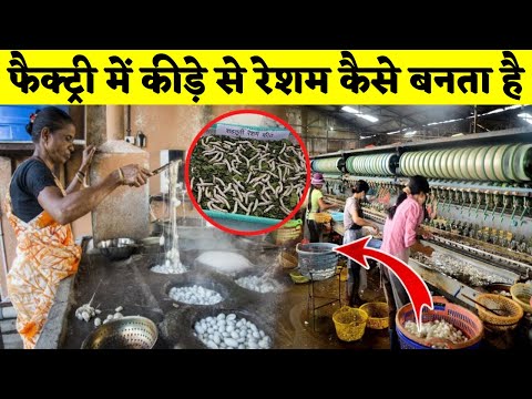 फैक्ट्री में कीड़े से रेशम कैसे बनता है #viral #shorts #mrminded