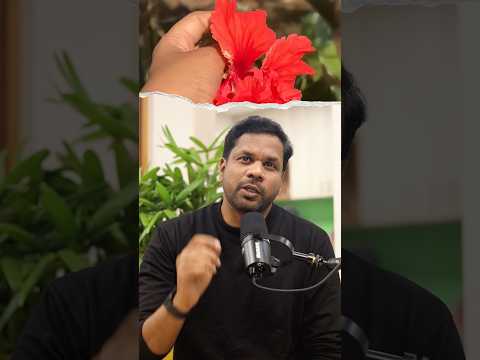 Hibiscus is as good as resveratrol! Anti aging market need our domestic flower!