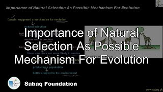 Importance of Natural Selection As Possible Mechanism For Evolution