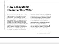 Exploring Ecosystems and Water Purification