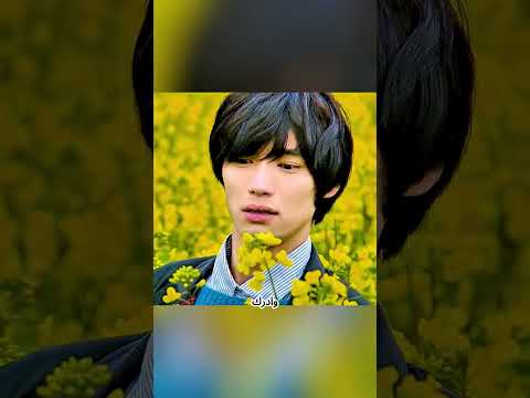 القطة التي انتظرت صاحبها حتى النهاية 💔🐾