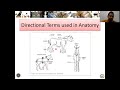 Anatomical Directional Terms and Planes