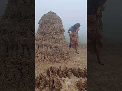 #TIMELAPSE: START to FINISH Alone BUILD LOG Cabin (Wooden House)....