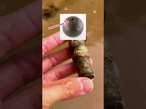 Metal Detecting A Confederate Island!