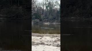 Petal, Mississippi #travel #beach #mississippi