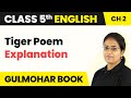 Themes and Symbols in 'Tiger'
