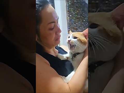 KUCING PENAKUT NGADU KE MAMINYA