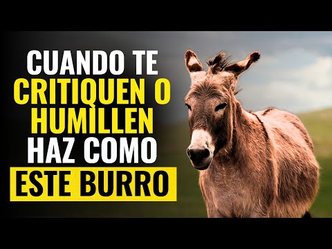 Historia del Burro al que le Echaban Tierra para Enterrarlo y logró salir – Bob Proctor