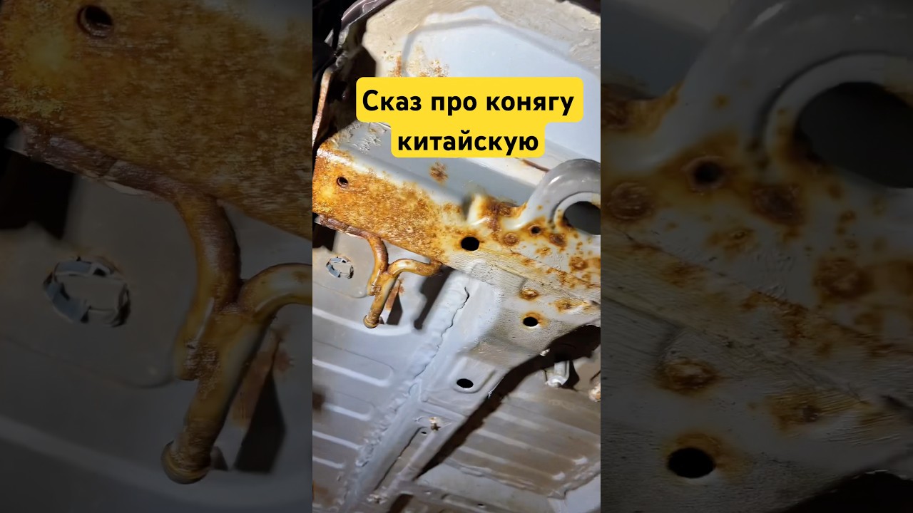 Сказ про то, как Антон Маляр конягу китайскую спасал #антонмаляр #лучшийантикор #антикор