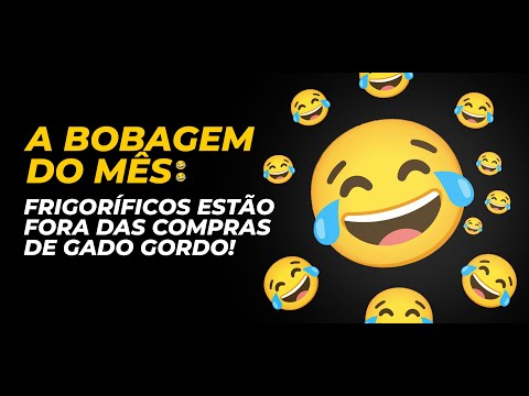 A BOBAGEM DO MÊS: FRIGORÍFICOS ESTÃO FORA DAS COMPRAS DE GADO  GORDO!