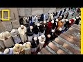 Exploring Marseilles: A City of Diversity and Integration