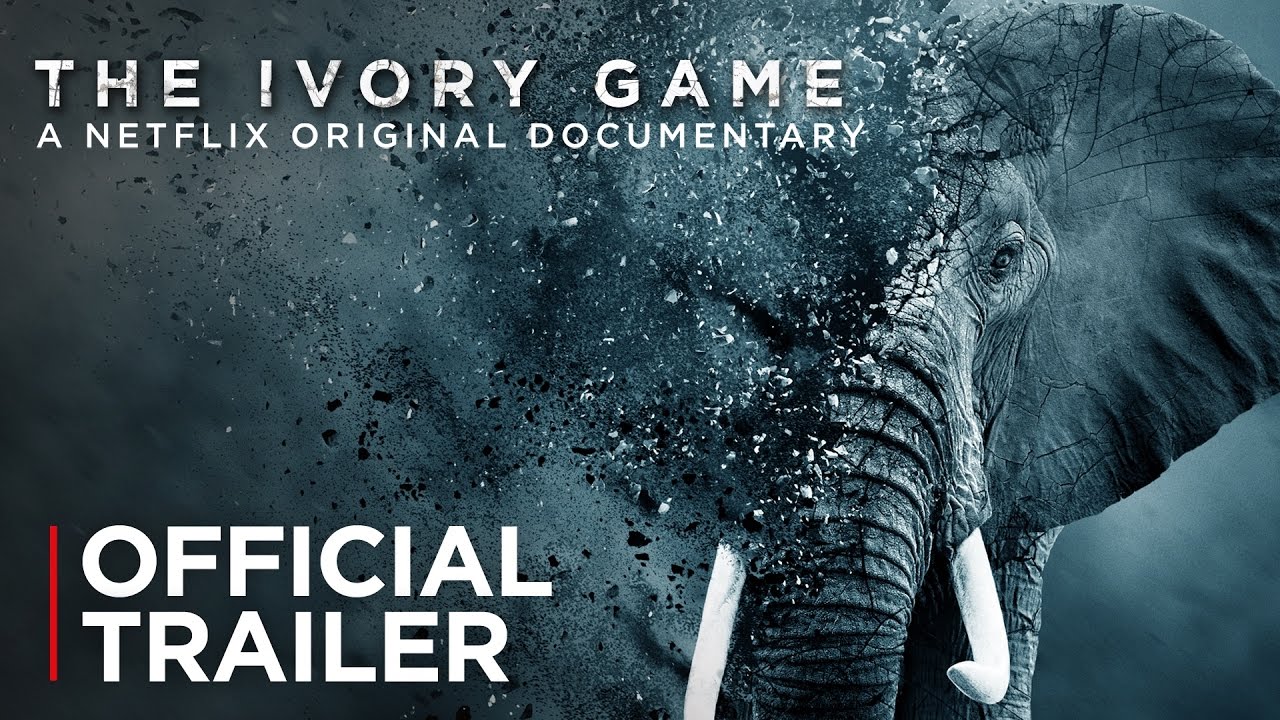 The Ivory Game Trailer thumbnail