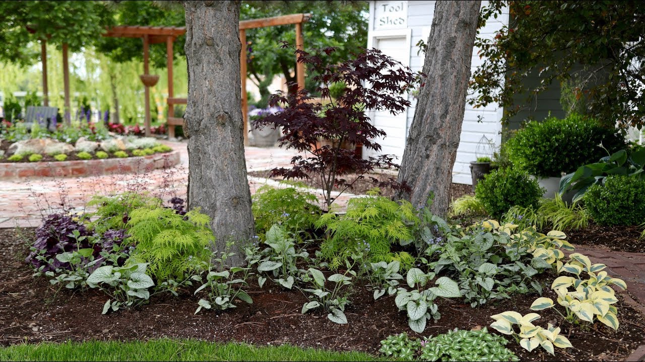 Beautiful Foliage Plants for Part Shade!
