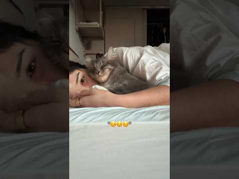 Cuddliest girl in the 🌎 meets cuddliest cat in the 🌎 and this is where they live now 🛏️