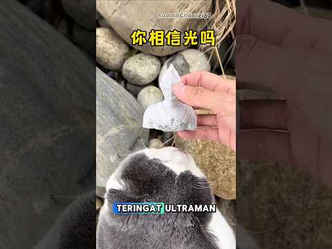 “Miko & Bubu Temukan Batu Ajaib yang Bisa Tembus Cahaya! 🔦💎”#shorts#kucing
