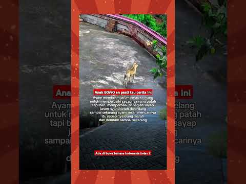Ketika ayam lupa bayar hutang ke burung elang #shorts