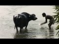 वीडियो ट्यूटोरियल क्विज