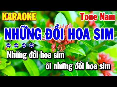 Karaoke Những Đồi Hoa Sim Tone Nam Nhạc Sống Trữ Tình Dễ Hát 2025 | Thanh Hải