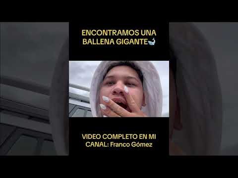 BALLENA GIGANTE CASI EXPLOTA #viral #humor #mexicas #comedia #comediamexicana #comedy