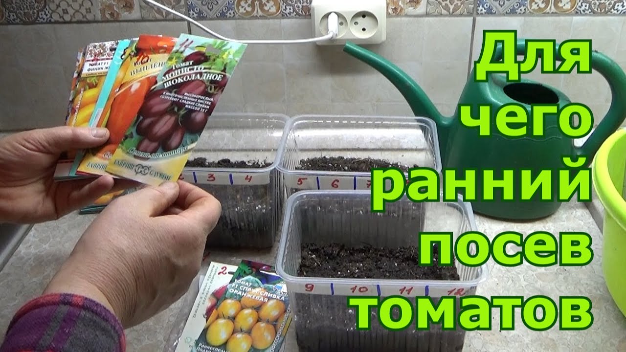Ранний посев томатов на рассаду 2021. Сорта томатов. Для чего мне нужна ранняя рассада помидоров