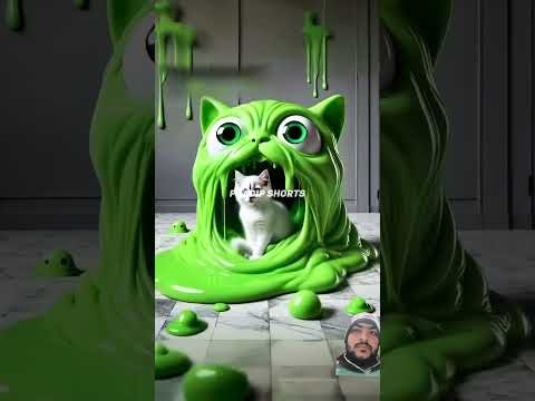 #funny #cat #story #funnycats #4k
