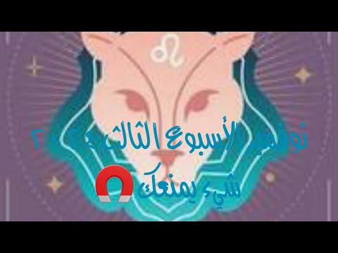 الأسد في نوفمبر الأسبوع الثالث ٢٠٢٤أكثر من مجرد حب🔮