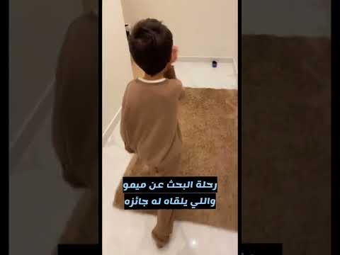 رحلة البحث عن القط ميمو واللي يلقاه له جائزه 🎁 تتوقعون لقيناه او لأ؟ 😔 #short  #shorts