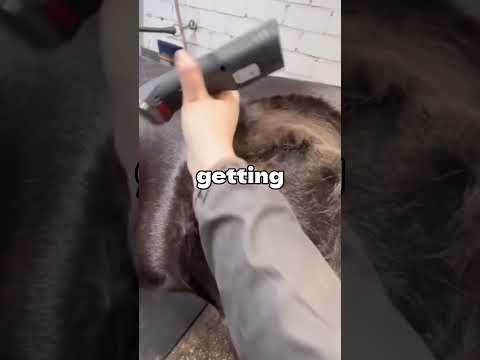 #funny #jokes