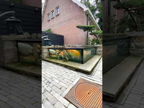 Modern Garden with Glass Fish Pond! #Shorts