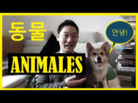 Animales 동물 - Vocabulario y Frases en Coreano - Ejercicio de Oído