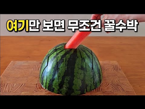 마트에서 무조건 써먹으세요! 30년 경력 가락시장 경매사가 알려주는 꿀수박 고르는 핵꿀팁 3가지 👍💯