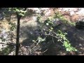 Water Scarcity and Management in New Mexico and Texas