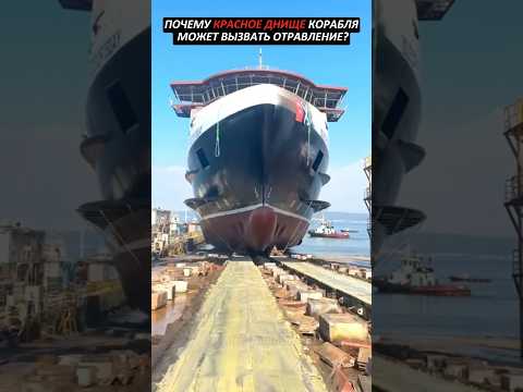 Почему красное днище корабля может вызвать отравление?