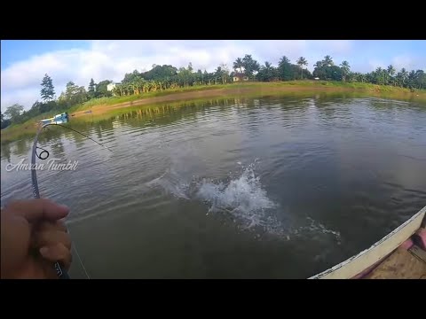 REKOR !!! MANCING IKAN BAUNG BABON di SUNGAI KELAY, BERAU - KALIMANTAN