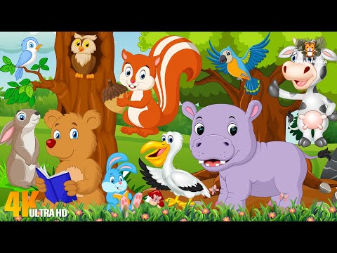 Farm Animal World: Woodpecker, Hippo, Squirrel, Bear, Mouse, Rabbit, Parrot - Animal Video