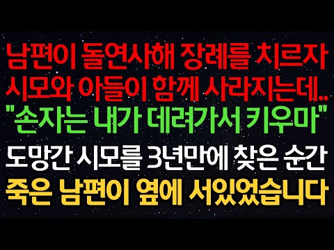 실화사연-남편이 돌연사 해 장례를 치르자 시모와 아들이 함께 사라지는데.. "손자는 내가 데려가서 키우마" 도망간 시모를 3년만에 찾은 순간 죽은 남편이 옆에 서있었습니다