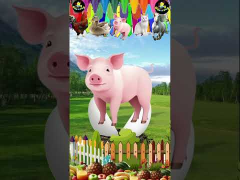 ในไข่มี ม้า เป็ด แมว🦢🐓 #reels #funny #shorts #short #shortvideo #shortsvideo #shortsfeed #youtube