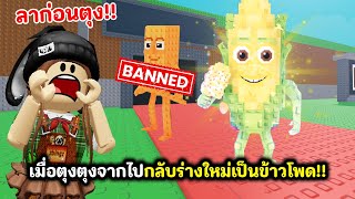 เมื่อตุงตุงจากไปกลับร่างใหม่เป็นข้าวโพด!! | Roblox : Steal a Brainrot