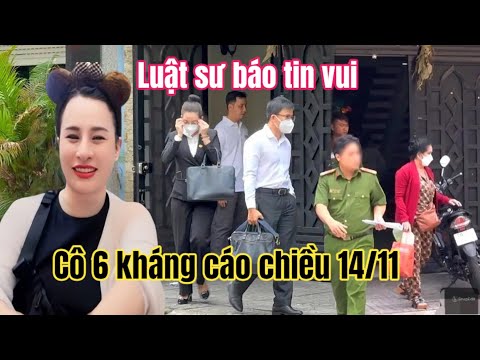 14/11: Tin Nóng Kết Quả Từ Luật Sư Hồng Loan, Cô6 Hoà Giải Thất Bại Đòi Kháng Cáo Giành Nhà 100 Tỷ