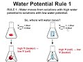 Water Potential and Its Factors