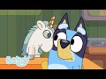 Muffin's Video Call Adventures