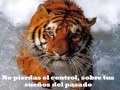 Resilience and Determination in Challenges