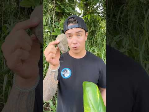 How To Open A Coconut With A Rock 🥥 🪨