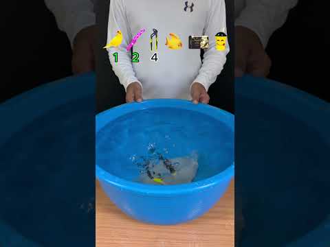 TRY TO GUESS HOW MANY TISSUE PAPER IT TOOKS! #satisfying #asmr #experiment #water