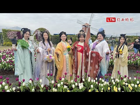 后里中社觀光花市鬱金香花季開跑！ 民眾穿漢服遊園吸睛