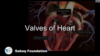 Valves of Heart