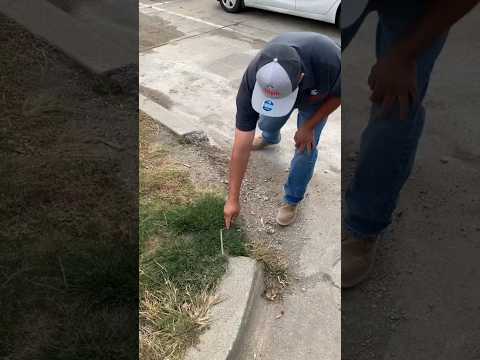 concrete curb repair