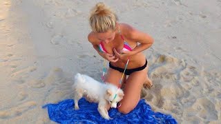 Pets that made me laugh for 1hr straight